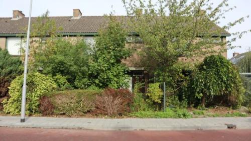 bancertstraat koudekerke